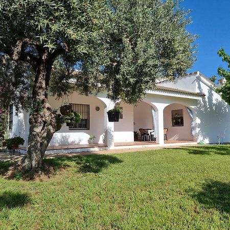 Casa En El Campo Cerca De Sevilla La Rinconada Dış mekan fotoğraf