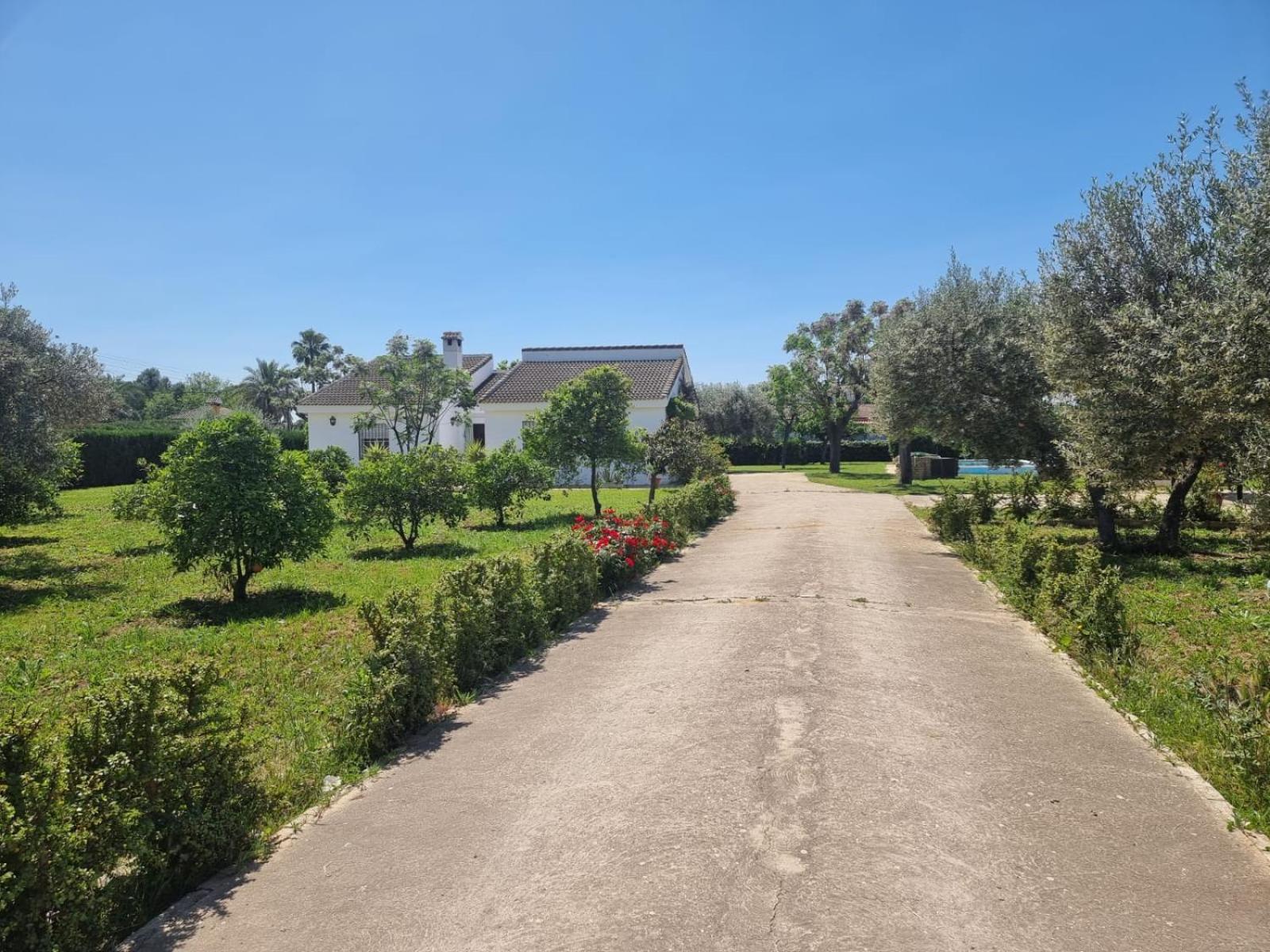 Casa En El Campo Cerca De Sevilla La Rinconada Dış mekan fotoğraf