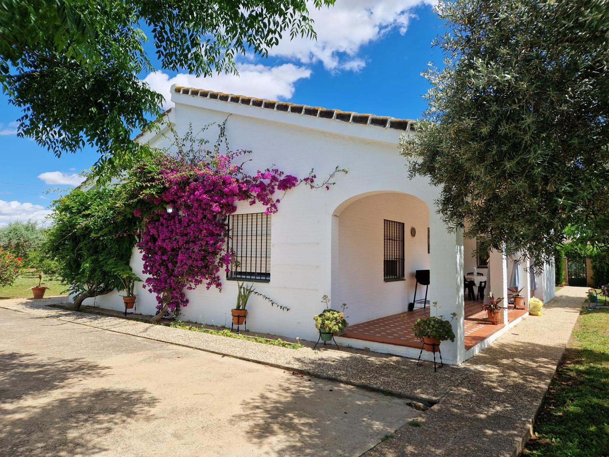 Casa En El Campo Cerca De Sevilla La Rinconada Dış mekan fotoğraf